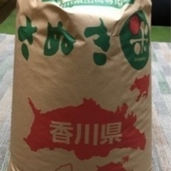 値下げしました【残り２袋】令和５年度10月収穫アキサカリ（玄米）