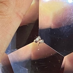 レトロ　アンティーク　オールドバカラクリスタルデキャンター