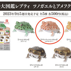 クランウェルツノガエル（ストロベリー）新品未開封