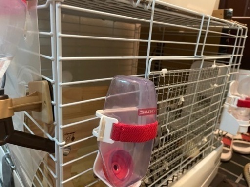 うさぎ飼育セット