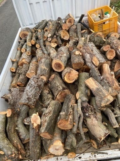 りんごの薪 切り立て 本日限定