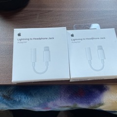 apple Lightning to headphone jac...