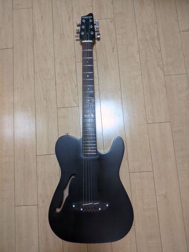 シェクターエレアコSCHECTER OL-FL STBK