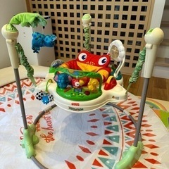 Fisher Price（フィッシャープライス） レインフォレス...