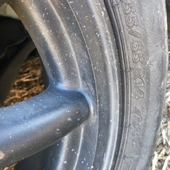 ブラックワタナベ