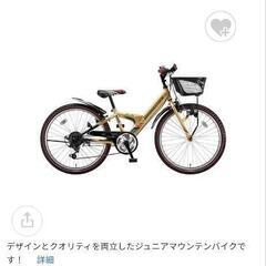 24型 子供用自転車 エクスプレスジュニア (ゴールド＆ブラック...