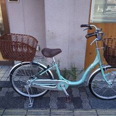 Misty Light[ミスティライト]22吋 ファミリーサイクル(小径車) アルミ/変速なし/ミストグリーン