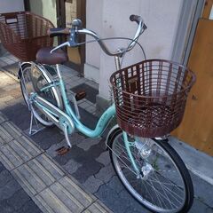 Misty Light[ミスティライト]22吋 ファミリーサイクル(小径車) アルミ/変速なし/ミストグリーン