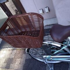 Misty Light[ミスティライト]22吋 ファミリーサイクル(小径車) アルミ/変速なし/ミストグリーン