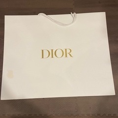 Dior ディオール　紙袋　ショッパー x２枚