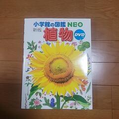 小学館の図鑑　NEO 　植物