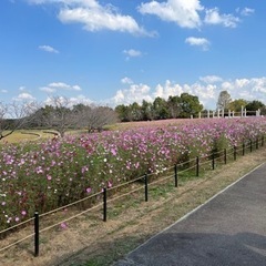 12月6日★印西市★子育てママランチ会の画像