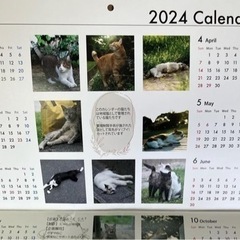 【ネット決済・配送可】地域猫カレンダー2024(1冊)＆ドリップ...