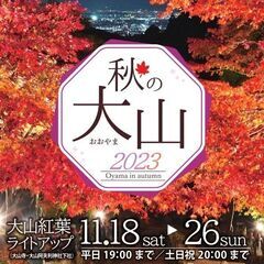 11/23木祝 丹沢大山紅葉ライトアップ