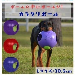 大型犬用ボール