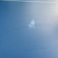 引取り限定・固定式卓球台セパレートタイプ