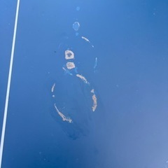 引取り限定・固定式卓球台セパレートタイプ