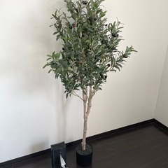 【観葉植物】フェイクグリーン　オリーブの木