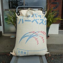 長野市若穂産　風さやか　籾米　３０ｋｇ（１袋）！