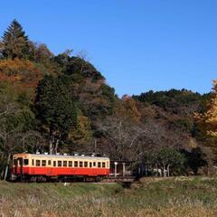 11/25か26に小湊鉄道へ乗り鉄！