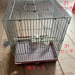 鳥かご