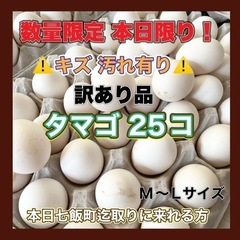 完売 ありがとう御座いました！ 数量限定 本日限り 訳あり タマ...