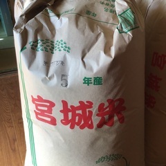 (決まりました)新米(令和5年産)ササニシキ玄米 30kg