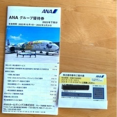 【ネット決済・配送可】ANA（全日空）株主優待航空券と割引冊子