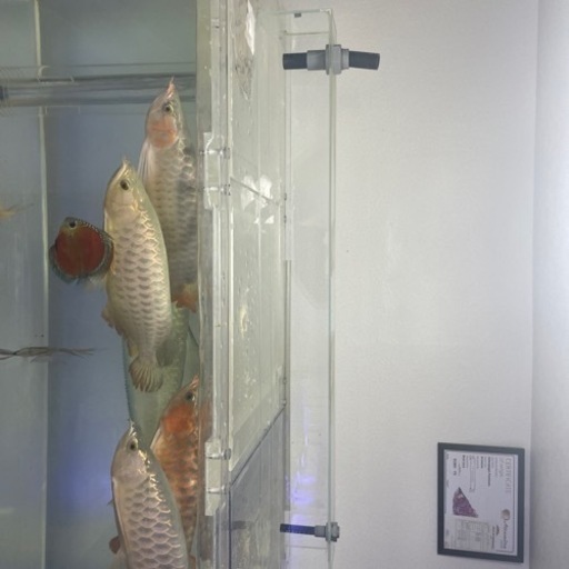 1200リフジウム水槽