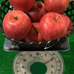 長野県産りんご　2kg 農家直送‼️ サンふじ　8個