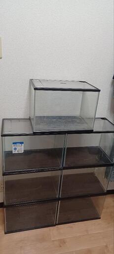 ※最終値下げ※　NISSO　NEWカラースリー黒Ｌ×７