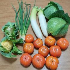 お野菜６点盛り