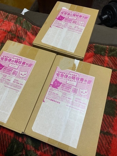 黒炎の支配者　1BOX
