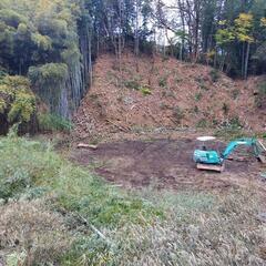 竹の伐採、承ります。 竹の伐採、承ります。