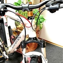 受付終了]致しました LOUIS GARNEAU(ルイガノ) 6061アルミフレ-ム 