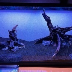 90センチ水草水槽