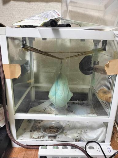 モモンガ飼育セット