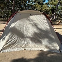 雪峰祭2019春限定 ランドロックアイボリーRED FRAME EDITION