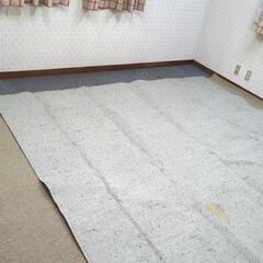 ぶ厚めの絨毯　262×262cm