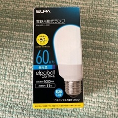 無料　電球形蛍光ランプ60W形　E26口金