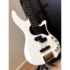 アクティブベース G-BB-60 SW ESP Grass roots