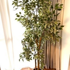 IKEA フェイクグリーン　観葉植物　ベンジャミン