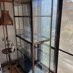 アルミ　ガラス温室　カトレアⅡ