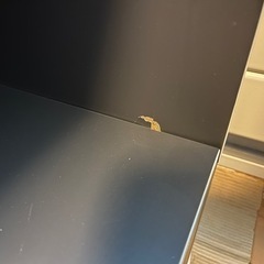 【高級家具】ボーコンセプト　Albi (アルビ)サイドボード