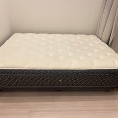 Sealy releaseシリーズ　マットレス/ボトムファンデーションセット