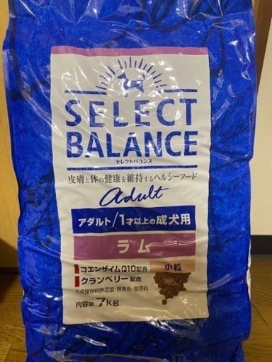 ドッグフード