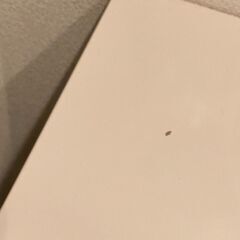 IKEA ダイニングセット　インガートルプ 伸長式テーブルと椅子