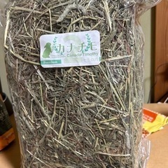 小動物牧草（カナチモ2番刈り，オーツヘイ，試供品）