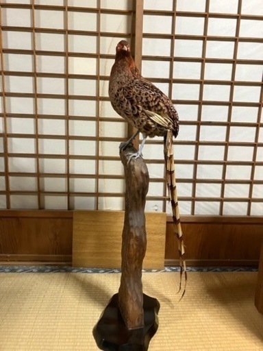 剥製