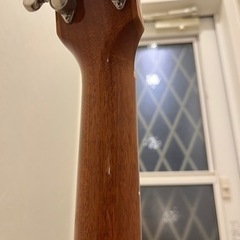 ギブソン　j-45 studio Walnut